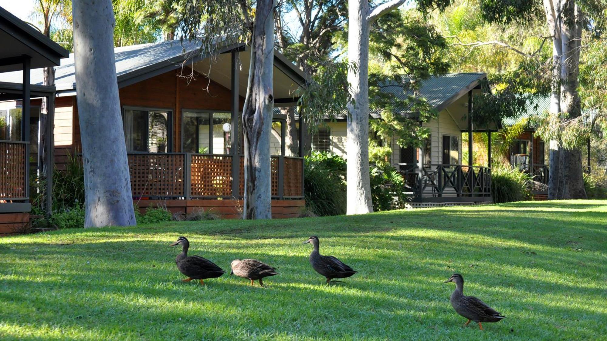 Marion Holiday Park Аделейд Екстериор снимка